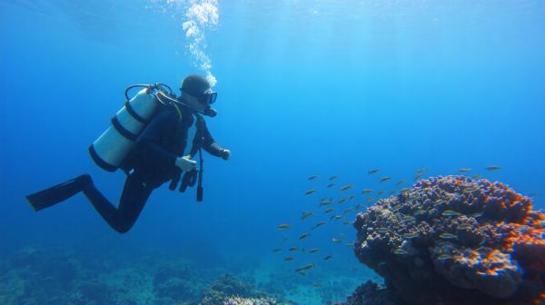 I migliori kit di attrezzatura subacquea per immersioni sicure